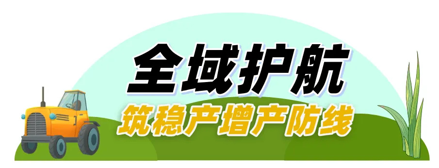 640 (6).webp