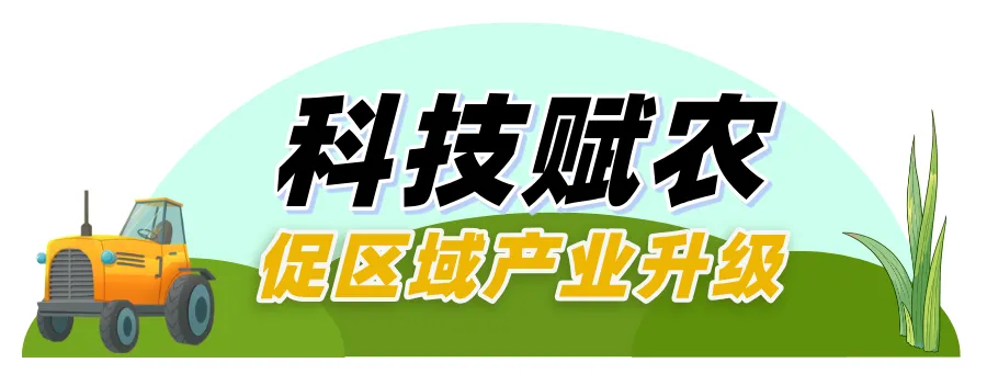 640 (5).webp